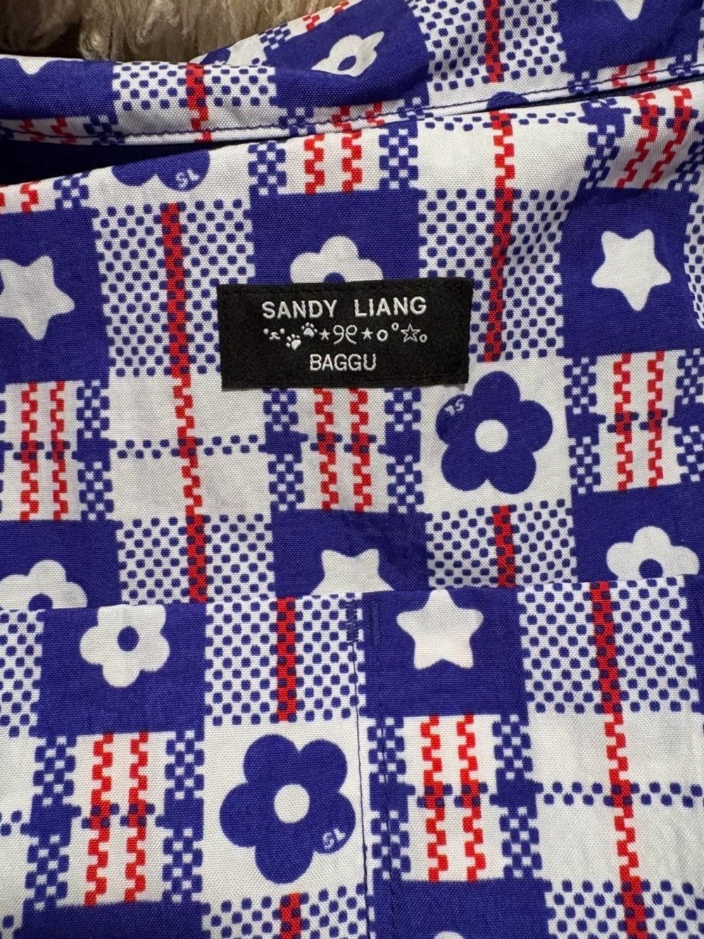 Baggu x Sandy Liang Blue Market Cloud Carry on - Picture 2 of 4